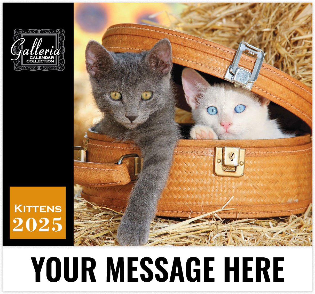 2025 Kittens Wall Calendar
