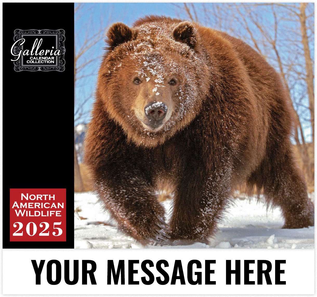 2025 North American Wildlife Wall Calendar